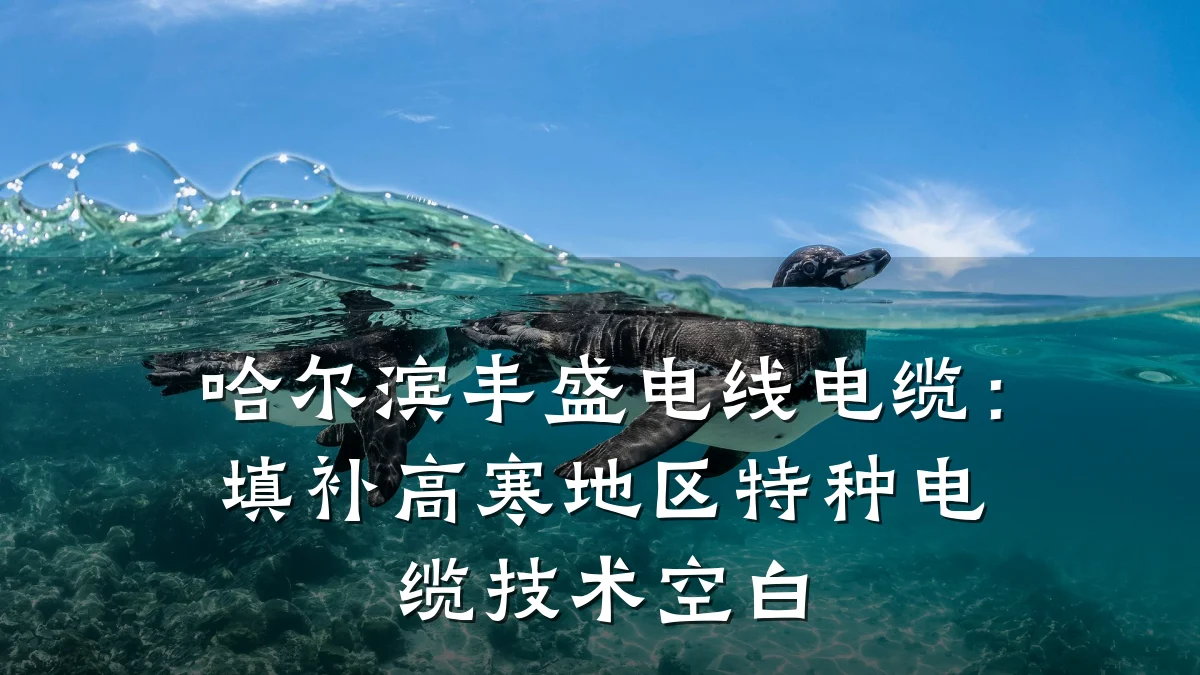 哈尔滨丰盛电线电缆:填补高寒地区特种电缆技术空白