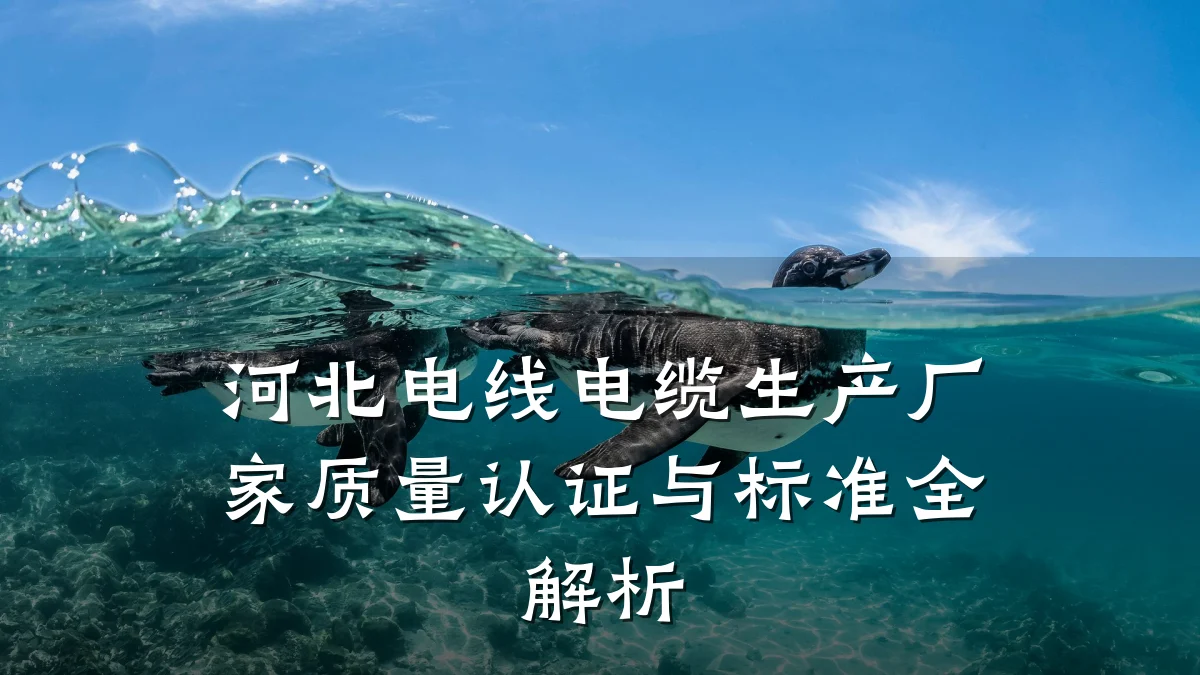河北电线电缆生产厂家质量认证与标准全解析