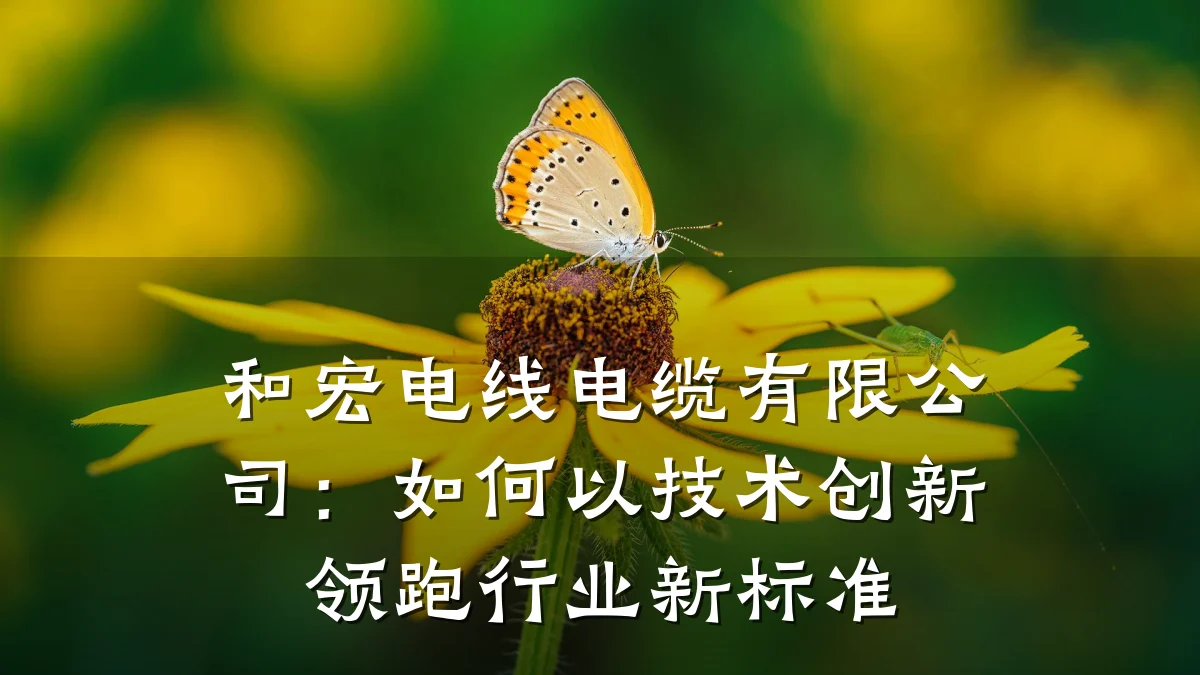 和宏电线电缆有限公司:如何以技术创新领跑行业新标准