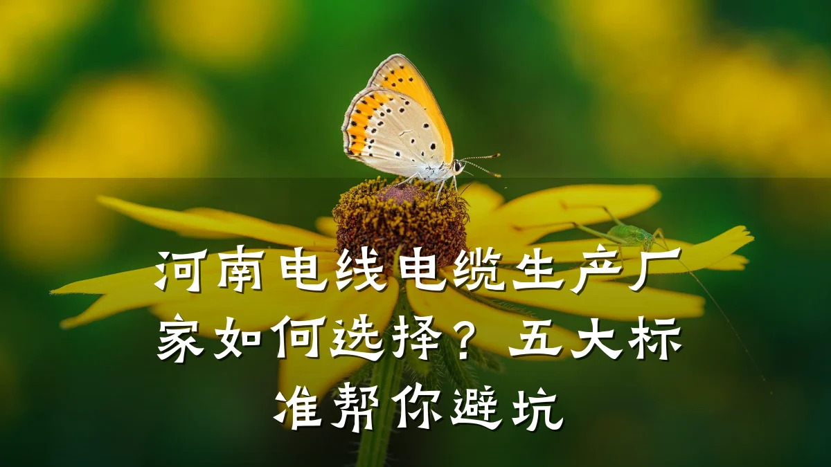 河南电线电缆生产厂家如何选择?五大标准帮你避坑