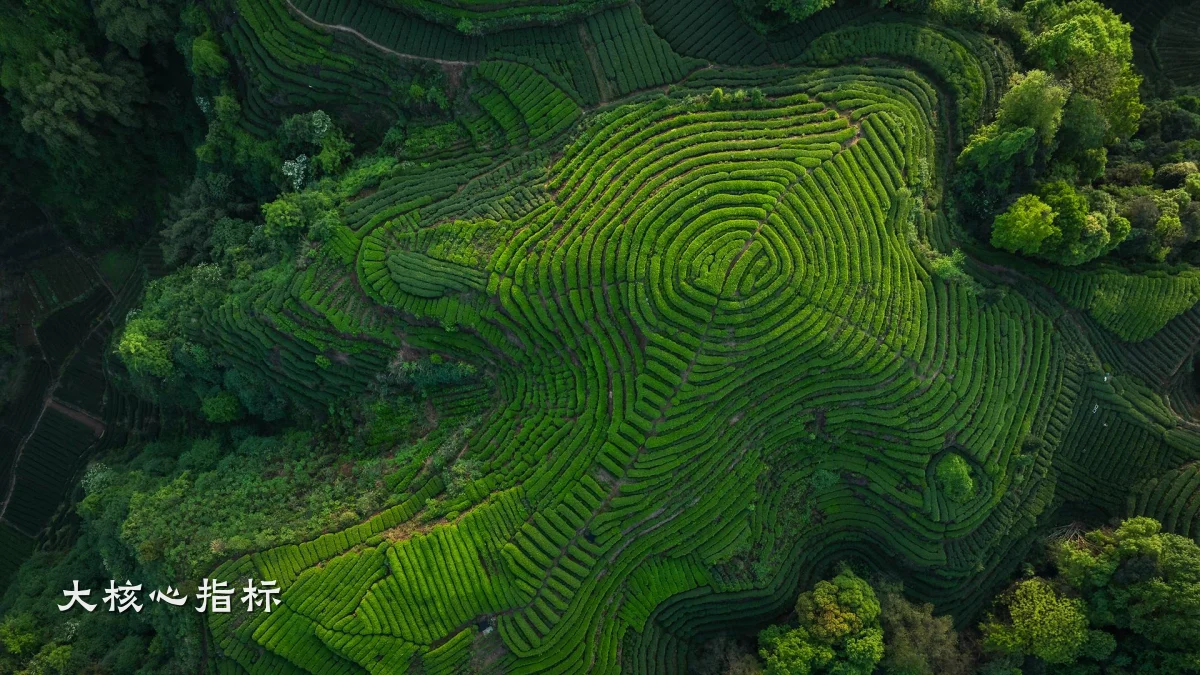 大核心指标