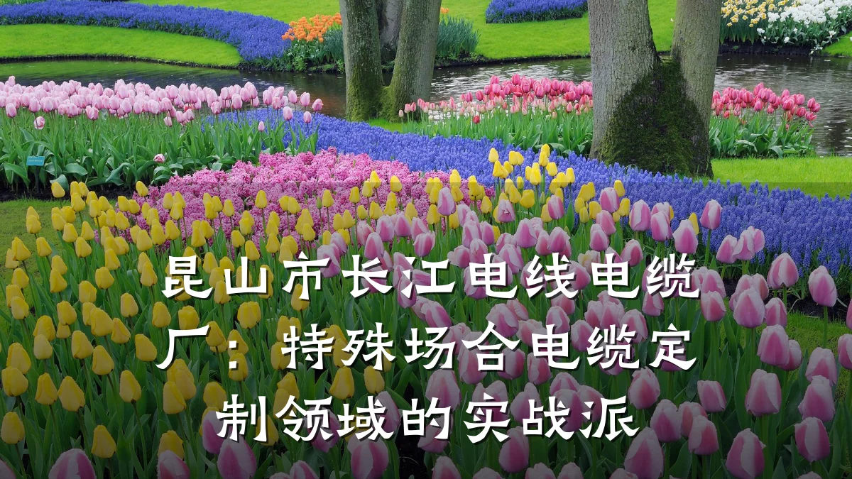 昆山市长江电线电缆厂:特殊场合电缆定制领域的实战派
