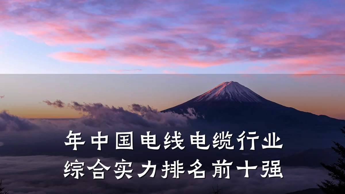 年中国电线电缆行业综合实力排名前十强