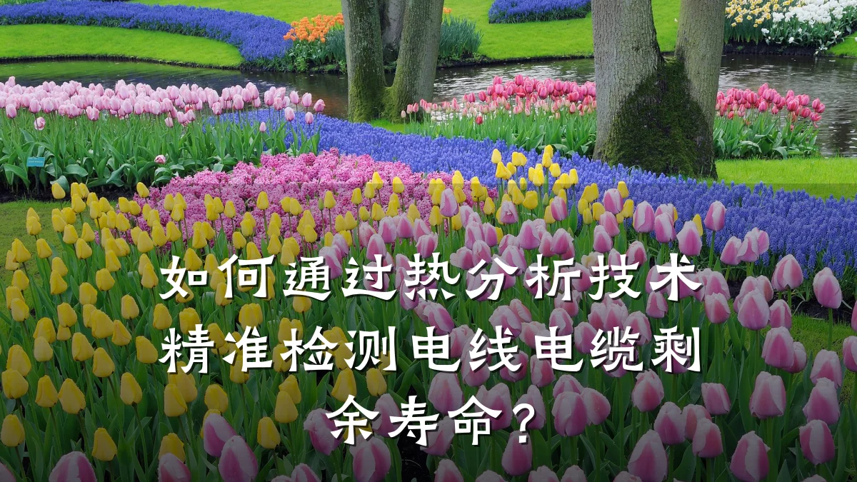 如何通过热分析技术精准检测电线电缆剩余寿命?