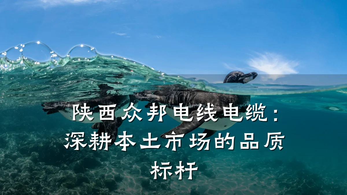 陕西众邦电线电缆：深耕本土市场的品质标杆