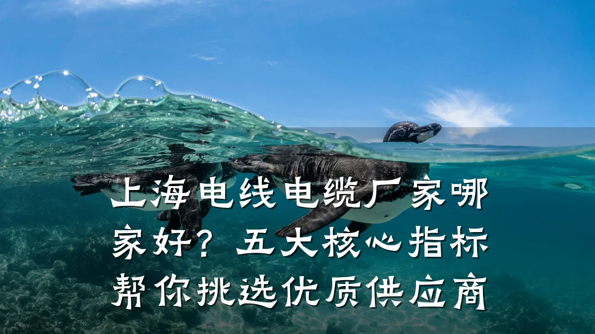 上海电线电缆厂家哪家好?五大核心指标帮你挑选优质供应商