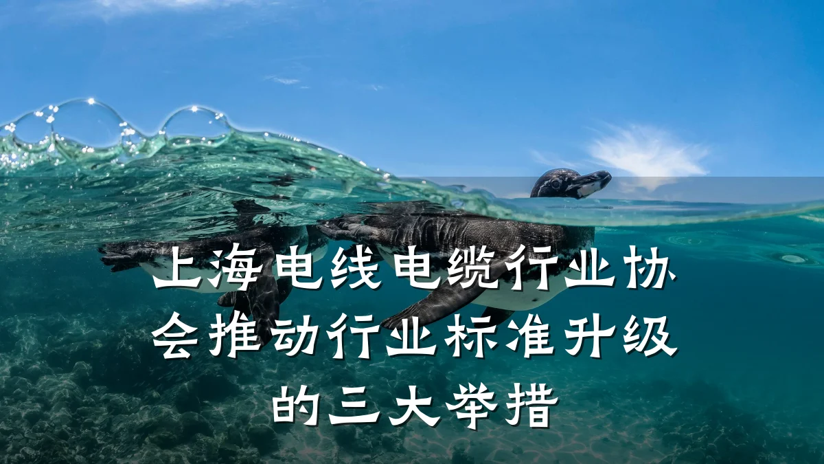 上海电线电缆行业协会推动行业标准升级的三大举措