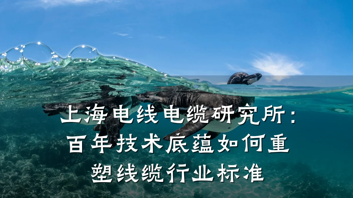 上海电线电缆研究所:百年技术底蕴如何重塑线缆行业标准