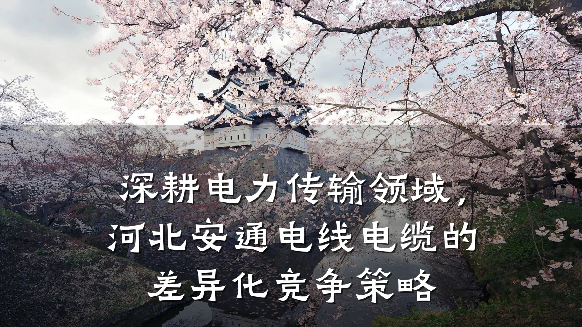 深耕电力传输领域,河北安通电线电缆的差异化竞争策略