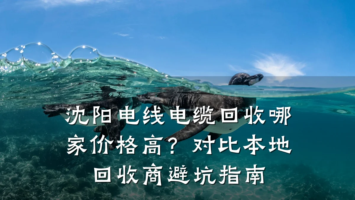 沈阳电线电缆回收哪家价格高?对比本地回收商避坑指南