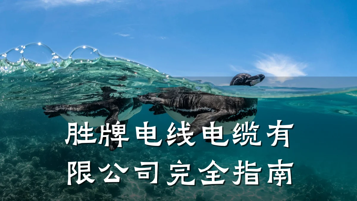 胜牌电线电缆有限公司完全指南