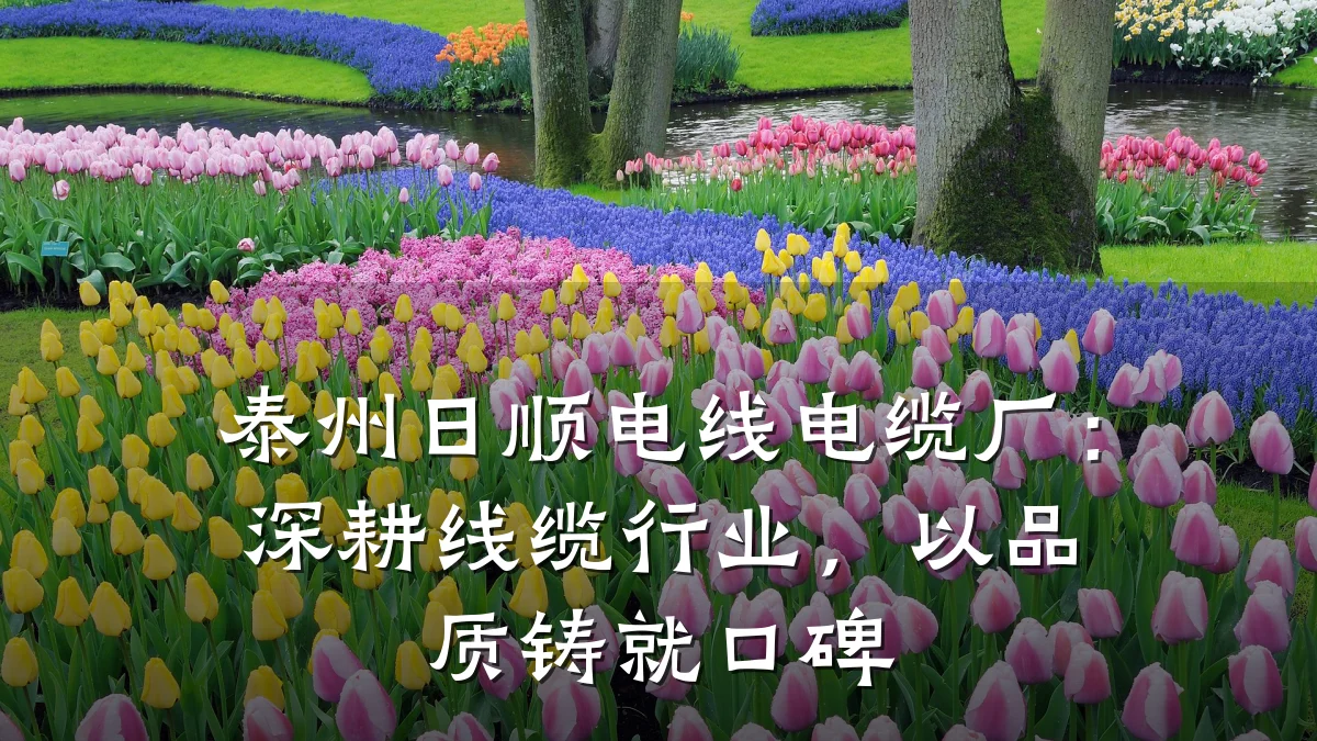 泰州日顺电线电缆厂：深耕线缆行业，以品质铸就口碑