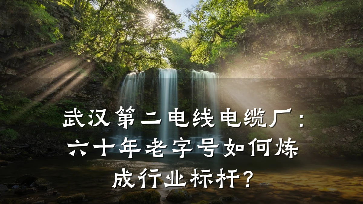 武汉第二电线电缆厂:六十年老字号如何炼成行业标杆?