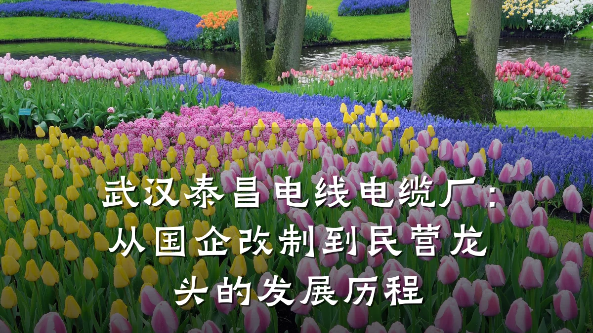 武汉泰昌电线电缆厂:从国企改制到民营龙头的发展历程