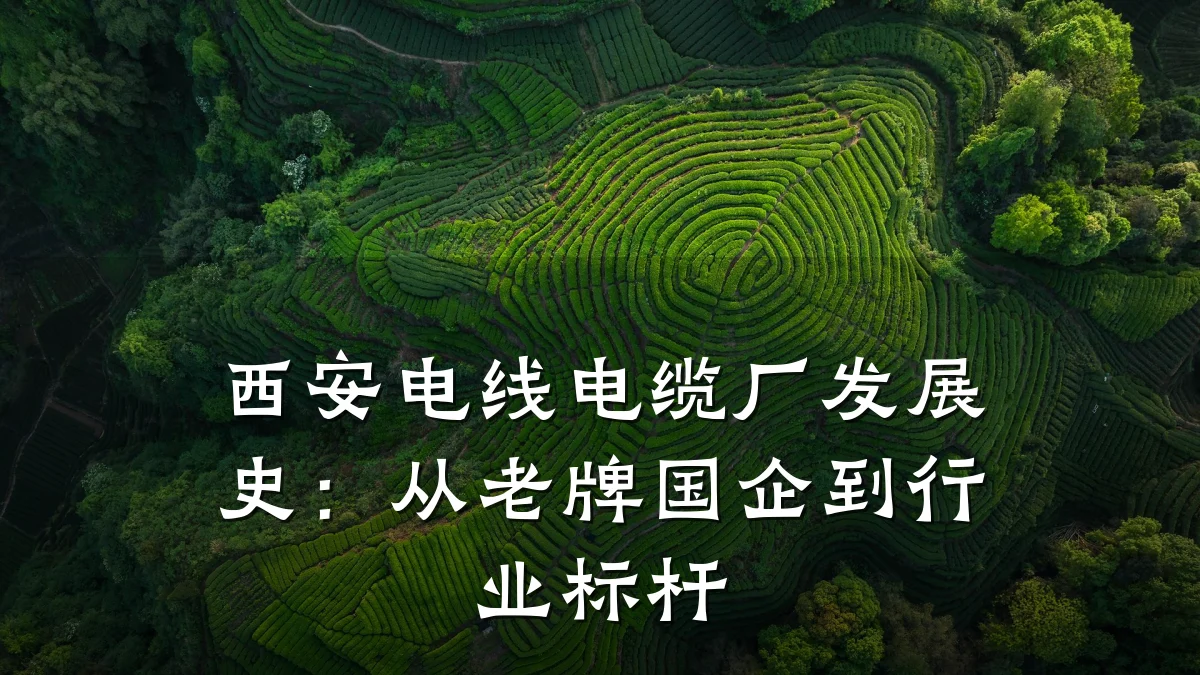 西安电线电缆厂发展史:从老牌国企到行业标杆