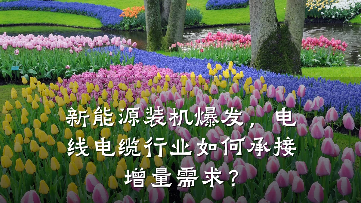 新能源装机爆发,电线电缆行业如何承接增量需求?