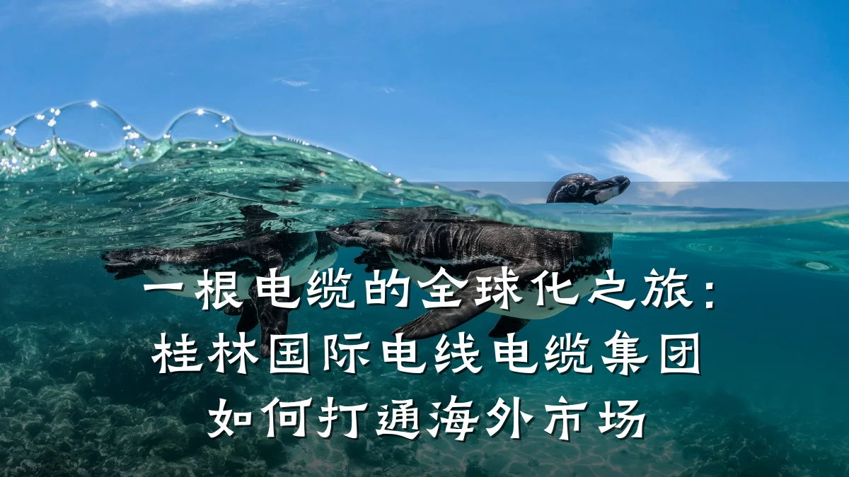 一根电缆的全球化之旅:桂林国际电线电缆集团如何打通海外市场