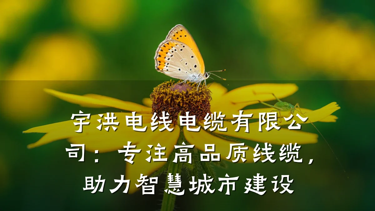 宇洪电线电缆有限公司:专注高品质线缆,助力智慧城市建设