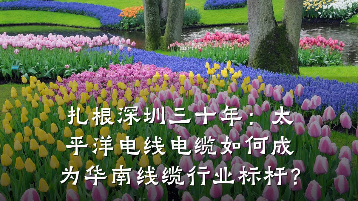 扎根深圳三十年：太平洋电线电缆如何成为华南线缆行业标杆？