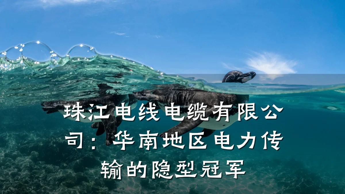 珠江电线电缆有限公司:华南地区电力传输的隐型冠军