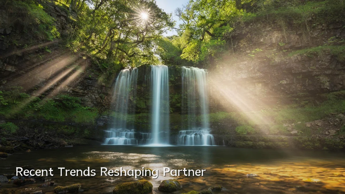 Recent Trends Reshaping Partner