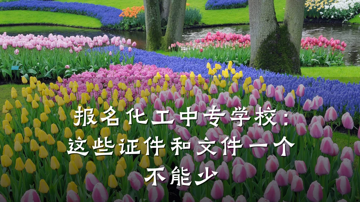 报名化工中专学校:这些证件和文件一个不能少