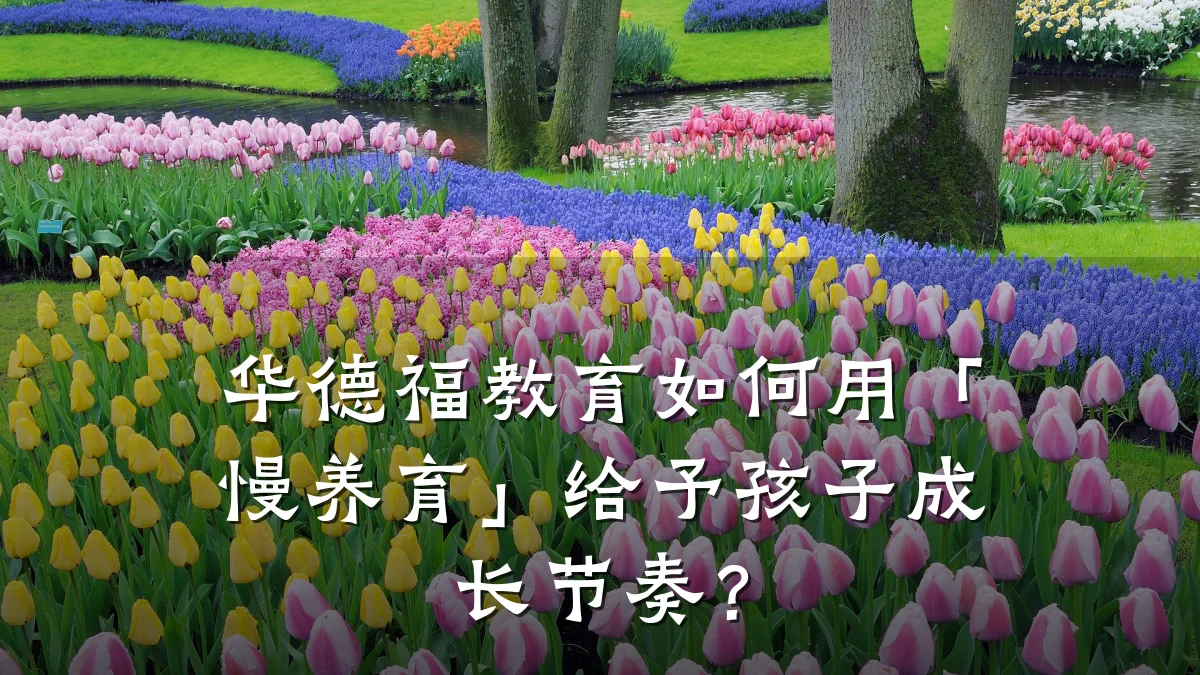 华德福教育如何用「慢养育」给予孩子成长节奏？