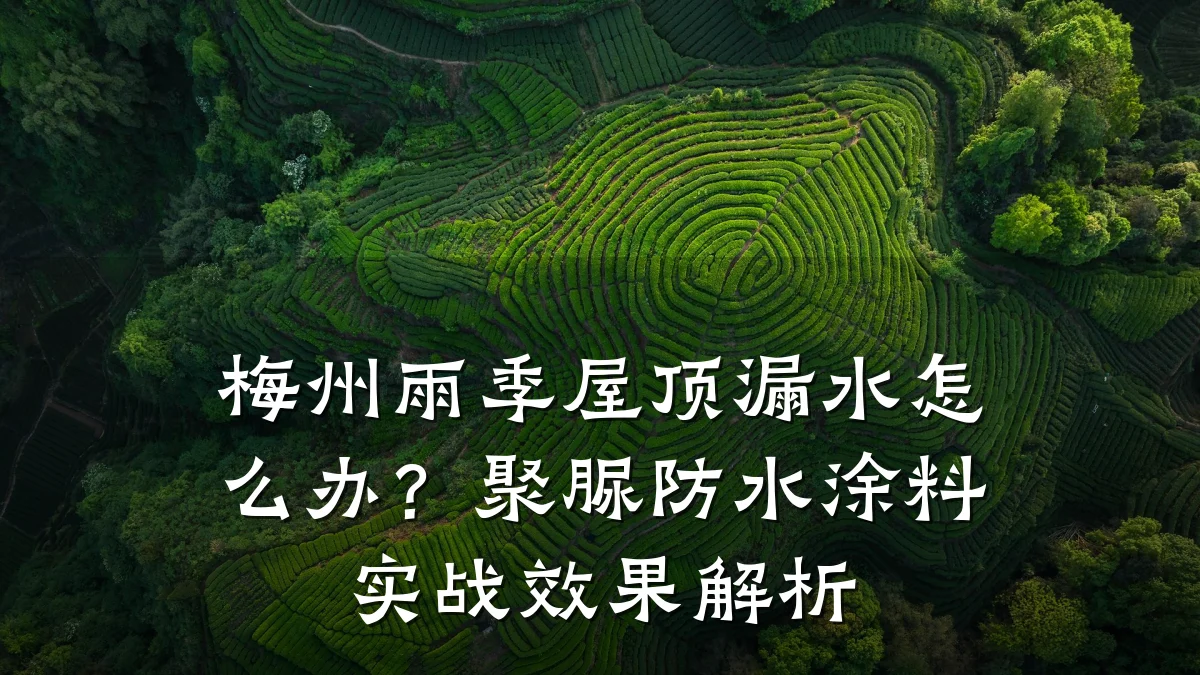 梅州雨季屋顶漏水怎么办?聚脲防水涂料实战效果解析