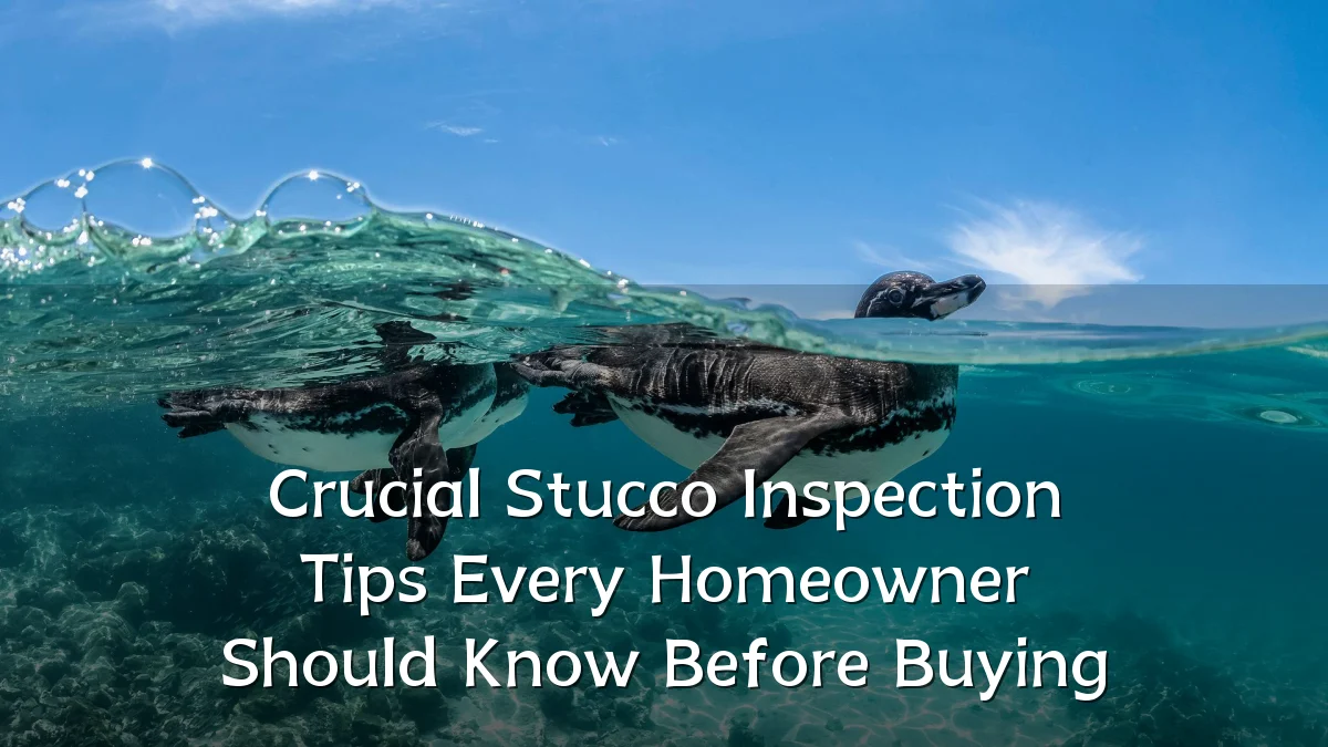 Crucial Stucco Inspection Tips Every Homeowner Should Know Before Buying